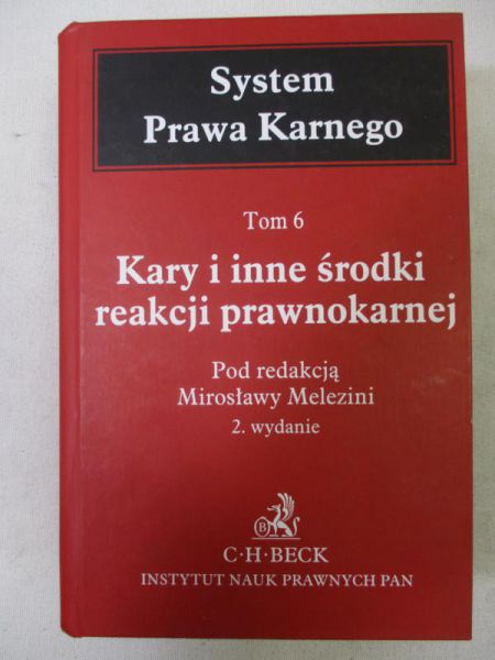 System Prawa Karnego. Tom VI