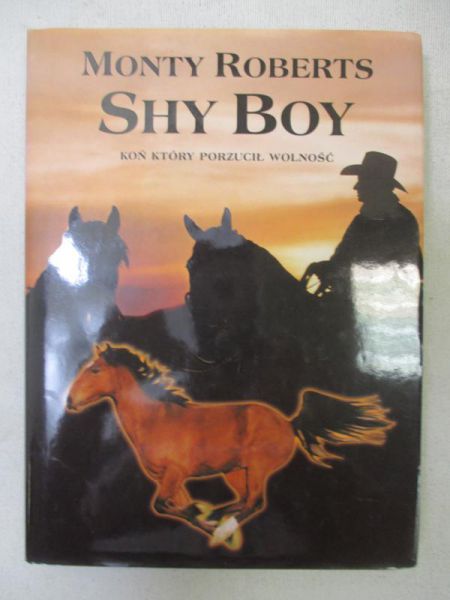 Shy Boy