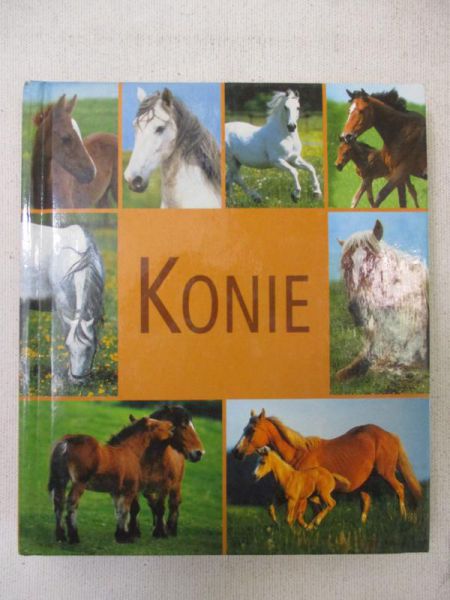 Konie