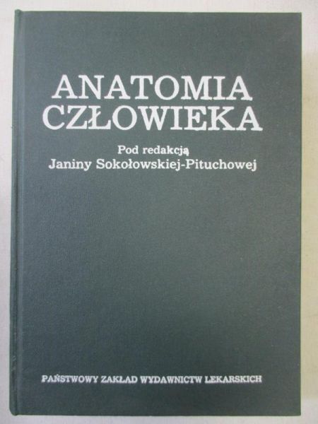 Anatomia człowieka