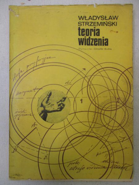 Teoria widzenia