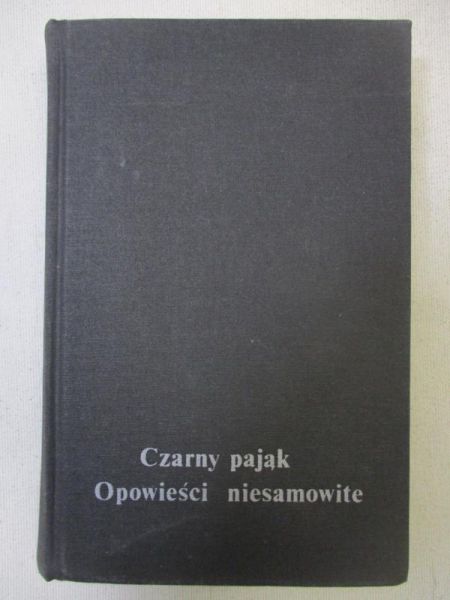 Czarny pająk