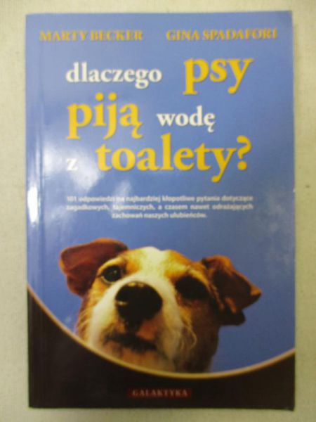 Dlaczego psy piją wodę z toalety?