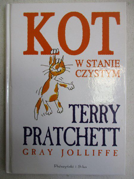 Kot w stanie czystym