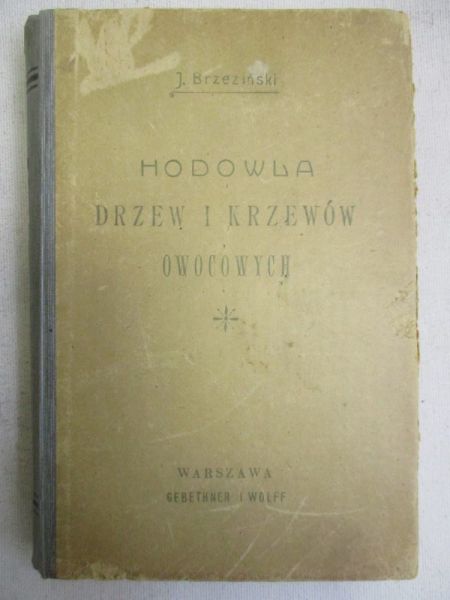 Hodowla drzew i krzewów owocowych, 1910 r.