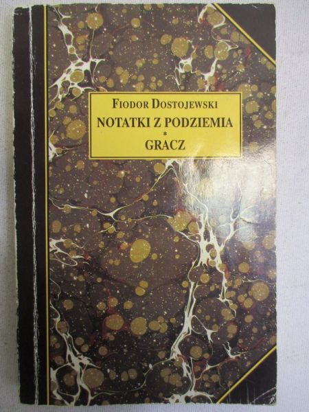 Notatki z podziemia; Gracz