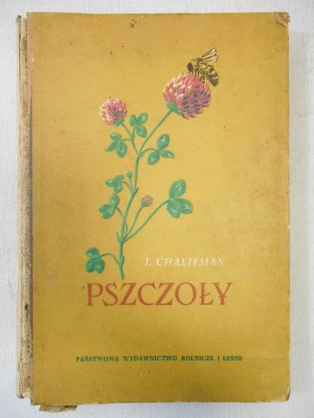 Pszczoły