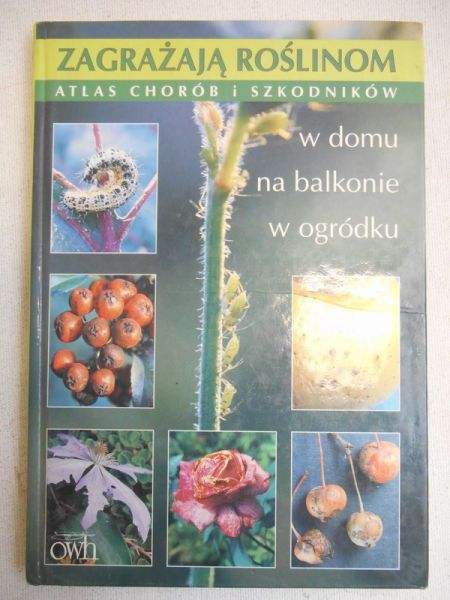 Zagrażają roślinom w domu, na balkonie, w ogródku : atlas chorób i szkodników 