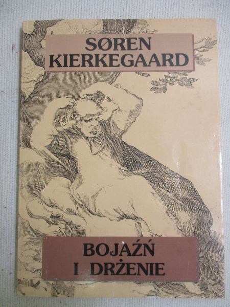 Bojaźń i drżenie