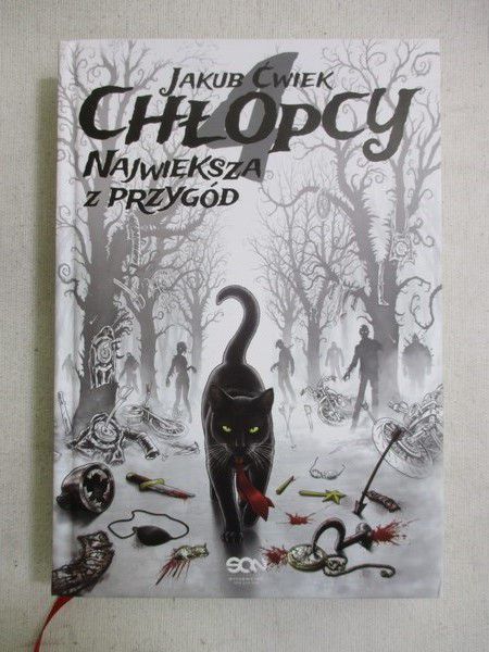 Ćwiek Jakub  - Chłopcy największa z przygód