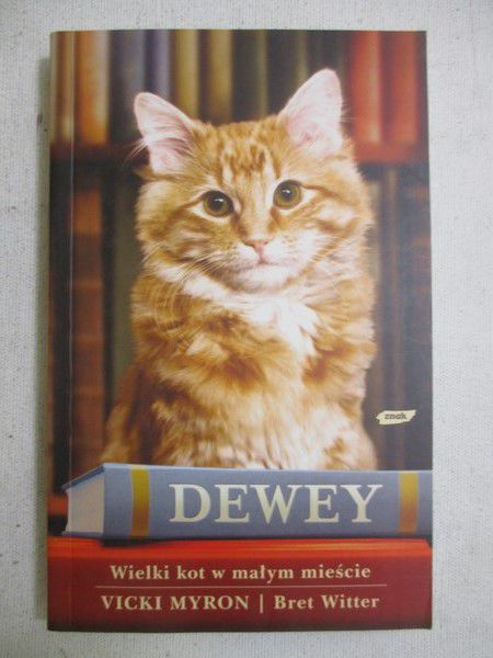 i - Dewey. Wielki kot w małym mieście