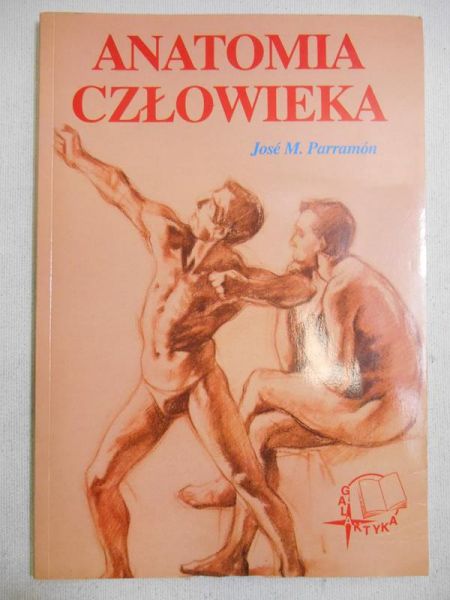 Anatomia człowieka
