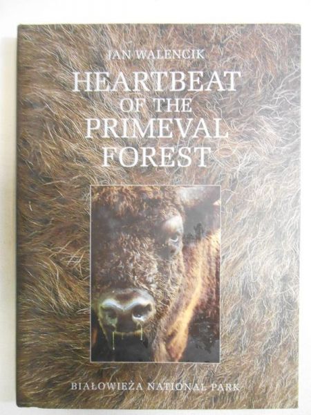 Heartbeat of the Primeval Forest