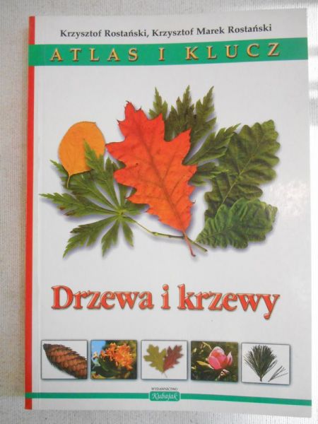 Atlas i klucz. Drzewa i krzewy