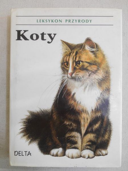 Koty. Leksykon przyrody
