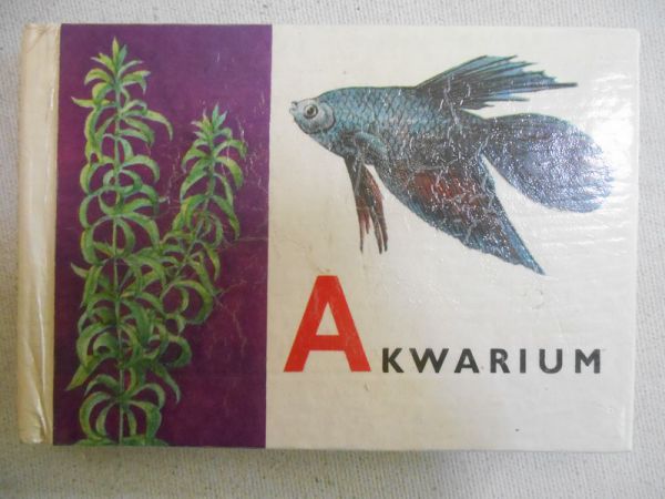 Akwarium
