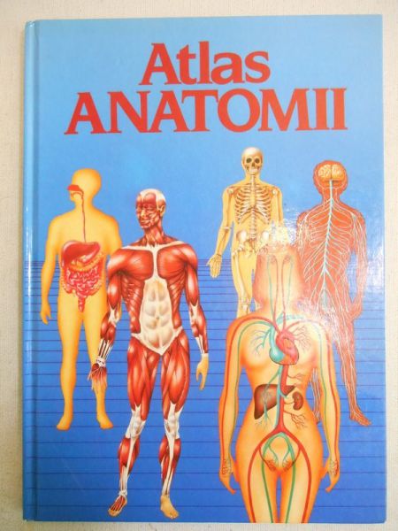 de Bernabe Ortega Enric Gil - Atlas anatomii