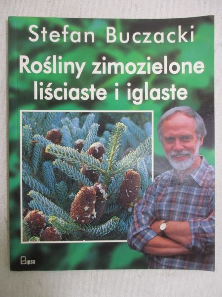 Rośliny zimozielone liściaste i iglaste