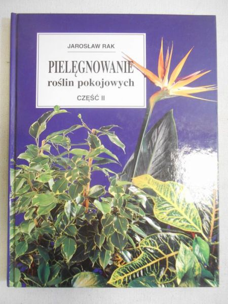 Pielęgnowanie roślin pokojowych, cz. II