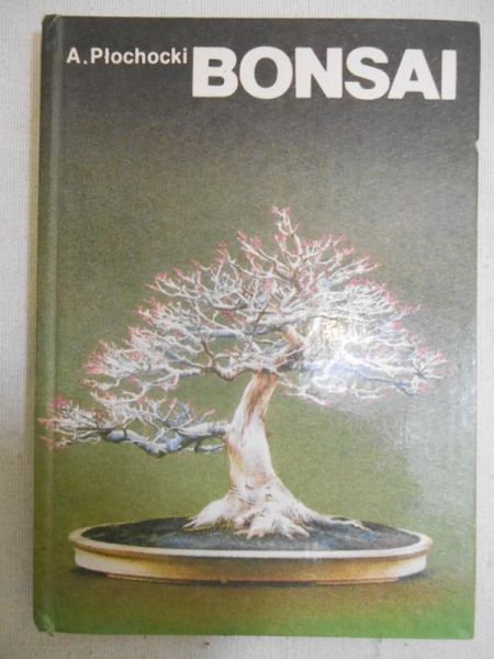 Bonsai - sztuka miniaturyzacji drzew i krzewów