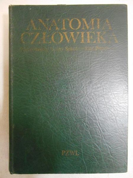 Anatomia człowieka