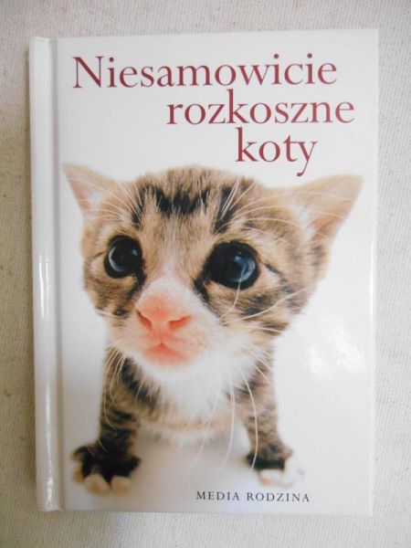 Niesamowicie rozkoszne koty