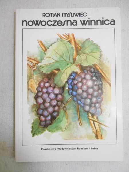 Nowoczesna winnica