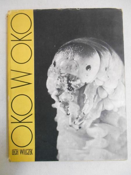 Oko w oko