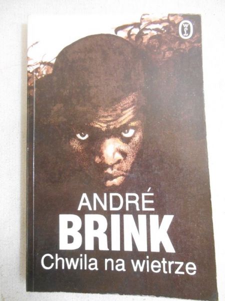 Brink Andre - Chwila na wietrze