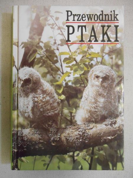 Przewodnik ptaki