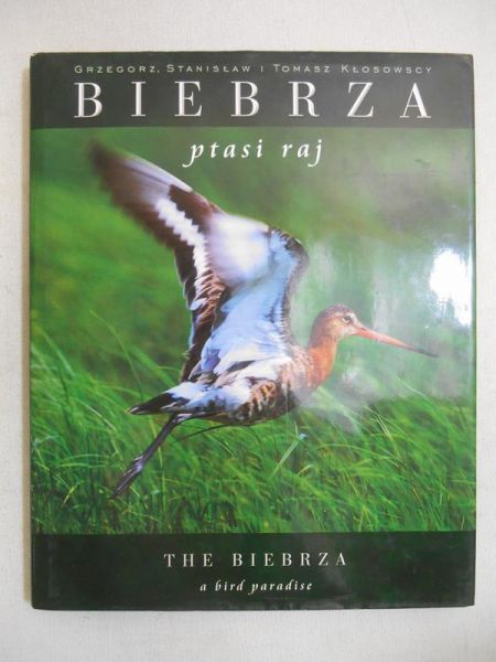 Biebrza – ptasi raj