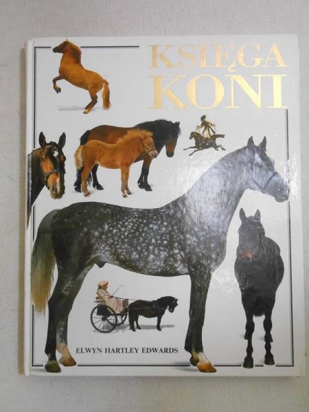 Księga koni