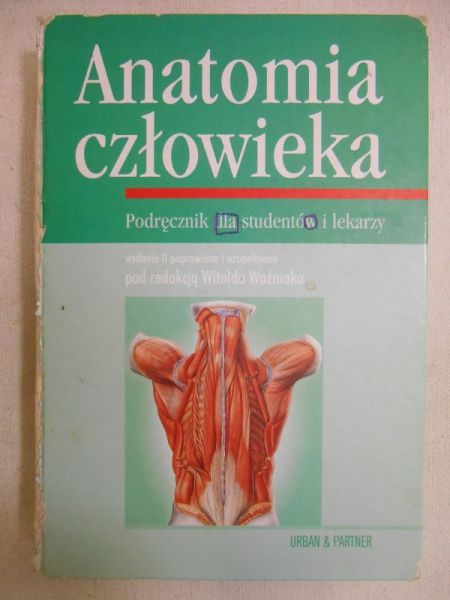 Anatomia człowieka