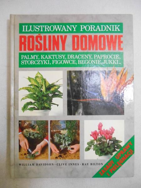 Davidson William - Lustrowany poradnik: Rośliny domowe