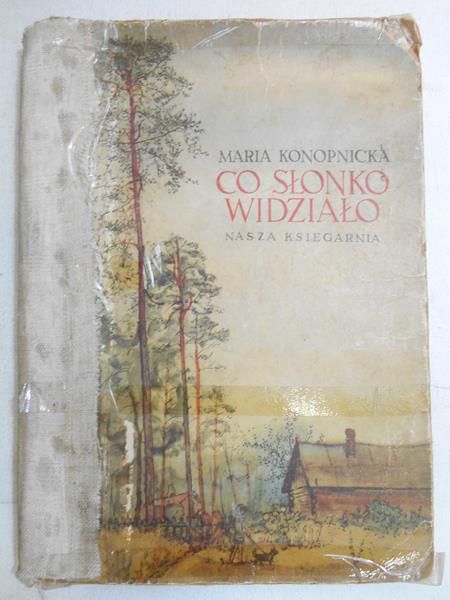 Co słonko widziało
