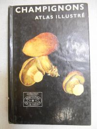 Mały atlas grzybów