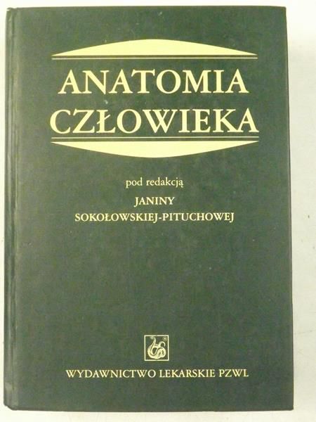 Anatomia człowieka