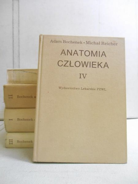 Anatomia człowieka, Tomy I-V
