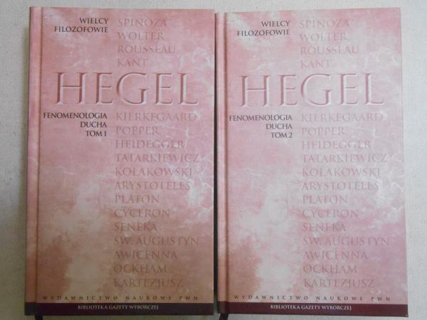 Fenomenologia ducha t. I-II