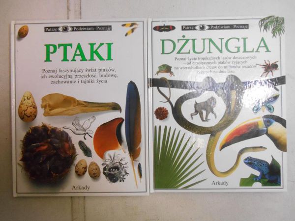 Dżungla  Ptaki