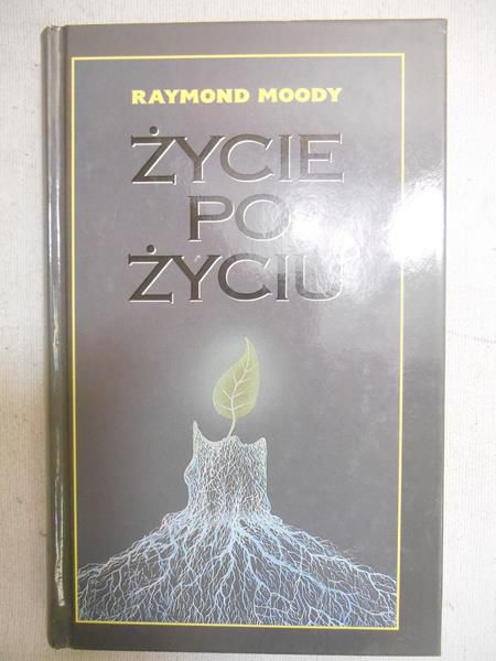 Życie po życiu