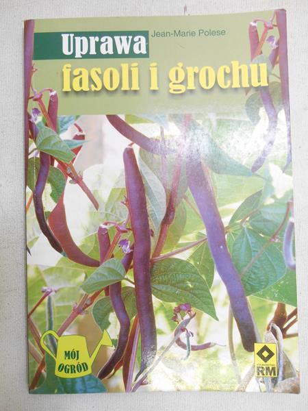 Uprawa fasoli i grochu