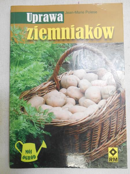 Uprawa ziemniaków