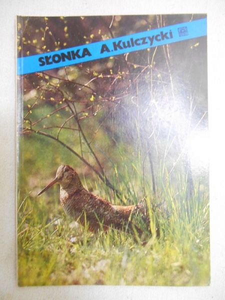Słonka