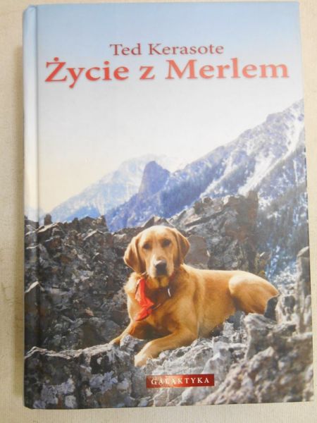 Życie z Merlem