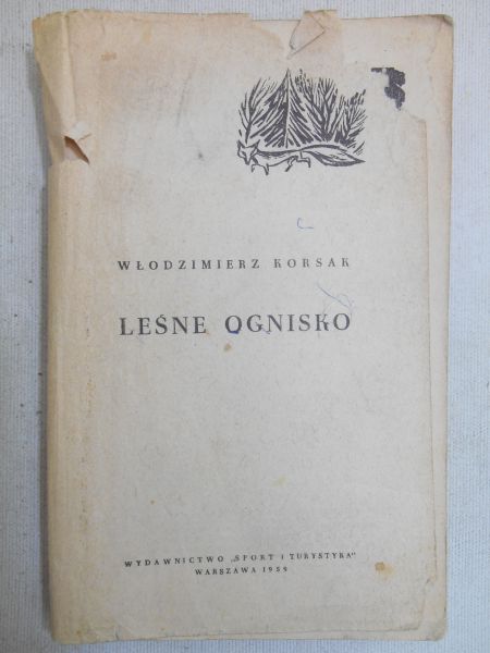 Leśne ognisko