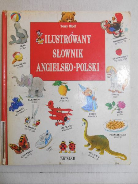Ilustrowany słownik angielsko-polski