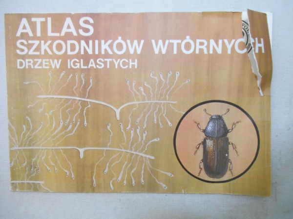 Kolk Andrzej - Atlas szkodników wtórnych drzew iglastych