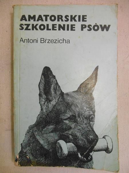 Amatorskie szkolenie psów