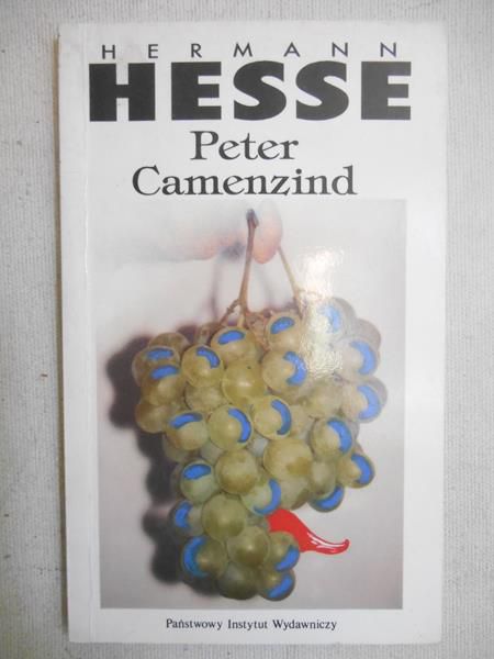 Peter Camenzind